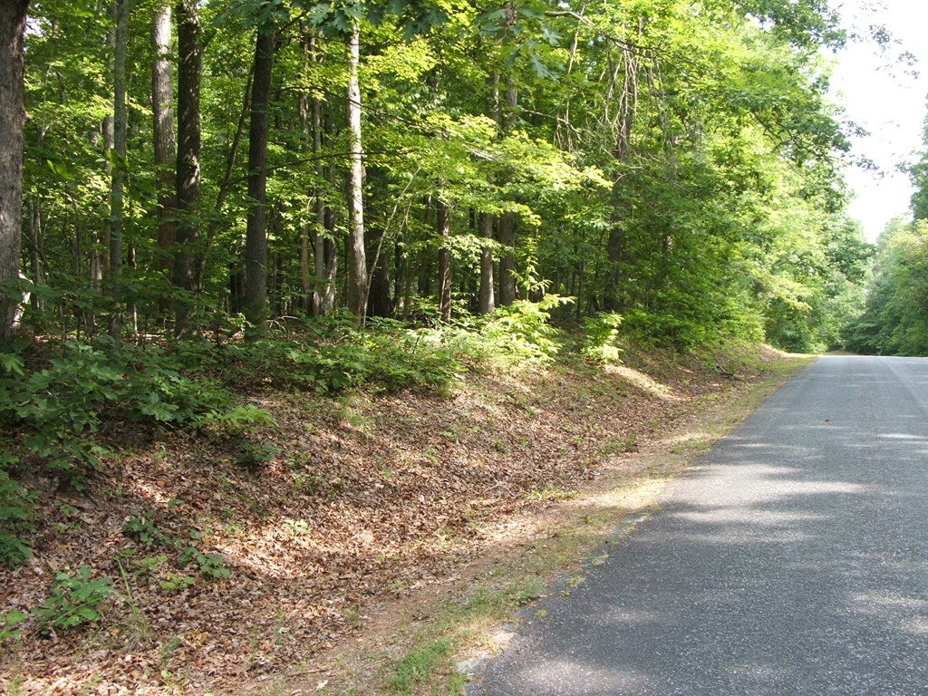 782 Walton Road Keysville, VA 23947 - Photo 2 of 7 Gallery Image 2