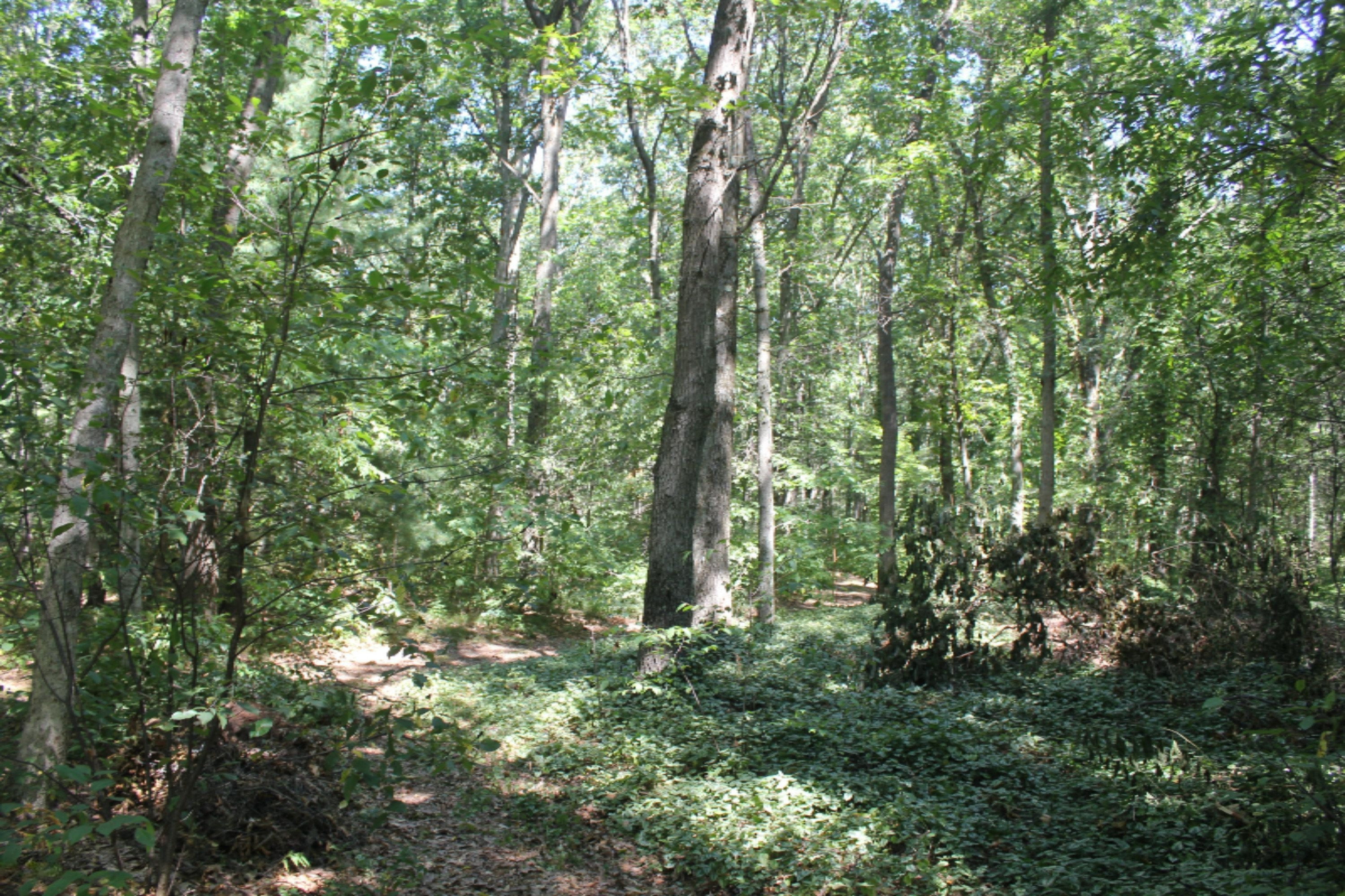 4416 White Road Muskegon, MI 49442 - Photo 14 of 16 IMG_0399