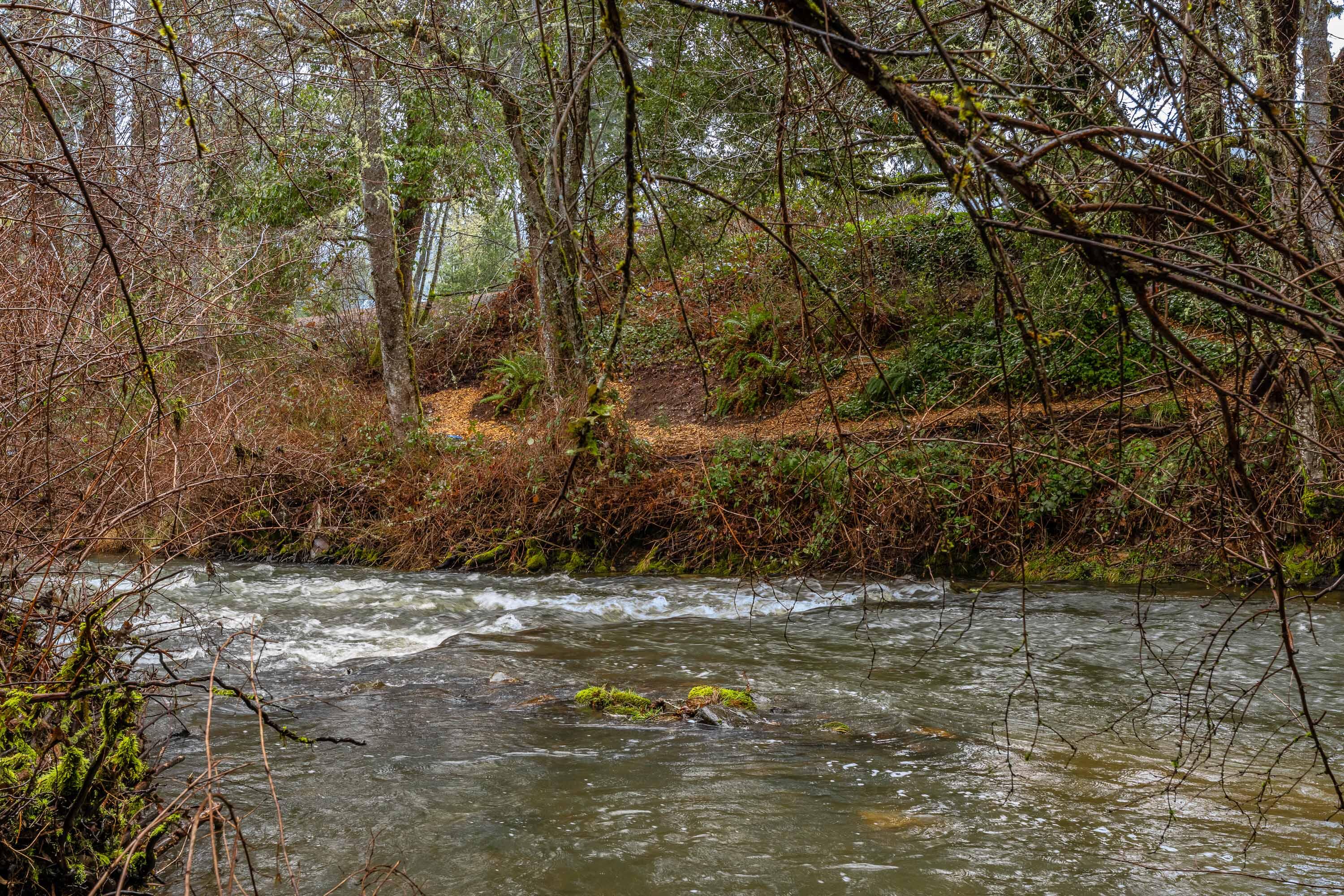 0 Upper Cow Creek Road Azalea, OR 97410 - Photo 15 of 28 EXT2 (10 of 19)