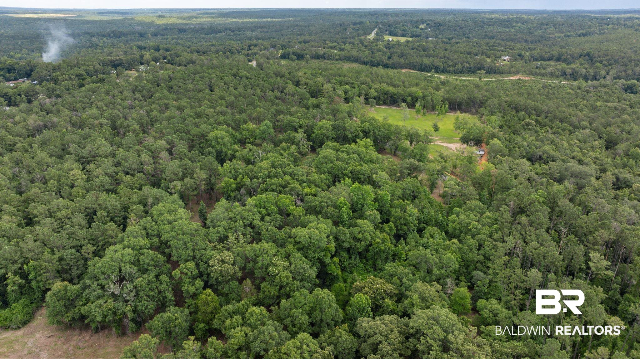 0 Hurricane Road Bay Minette, AL 36507 - Photo 25 of 30