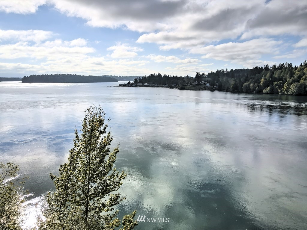 721 East Benson Loop Road Shelton, WA 98584 - Photo 1 of 17 Gallery Image 1