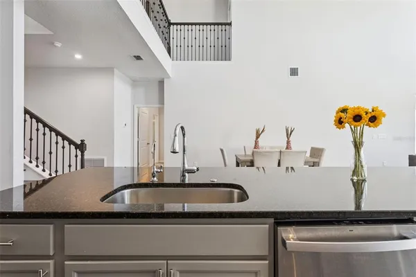 a kitchen with a sink and a potted plant