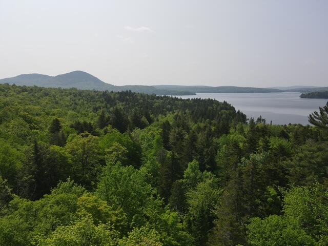 dji_fly_20250605_100708_491_174913244426