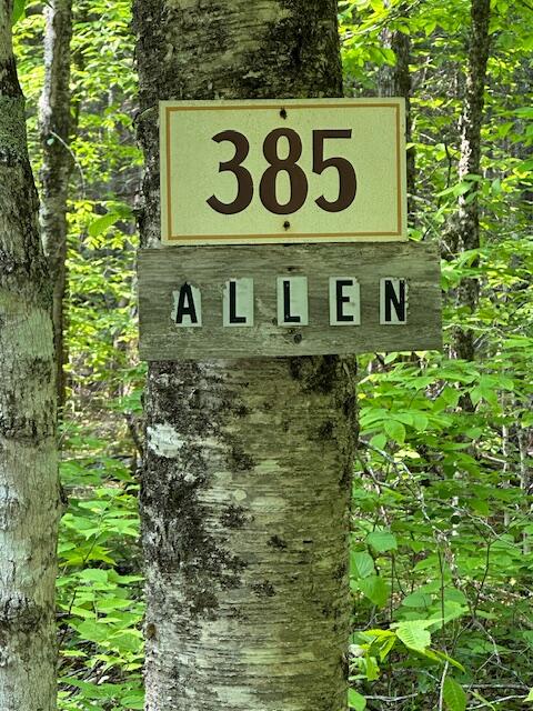 Lot 1 Scammon Road Greenville, ME 04441 - Photo 11 of 13 IMG_5294