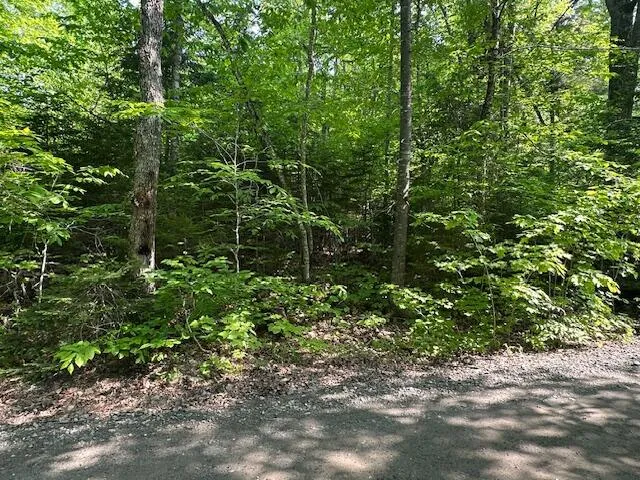 $64,500 | Lot 1 Scammon Road, Greenville, ME 04441