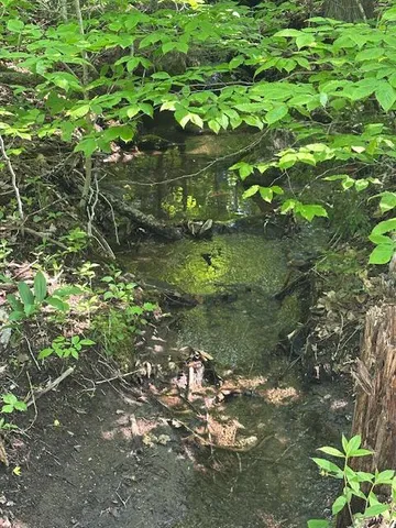 $64,500 | Lot 1 Scammon Road, Greenville, ME 04441