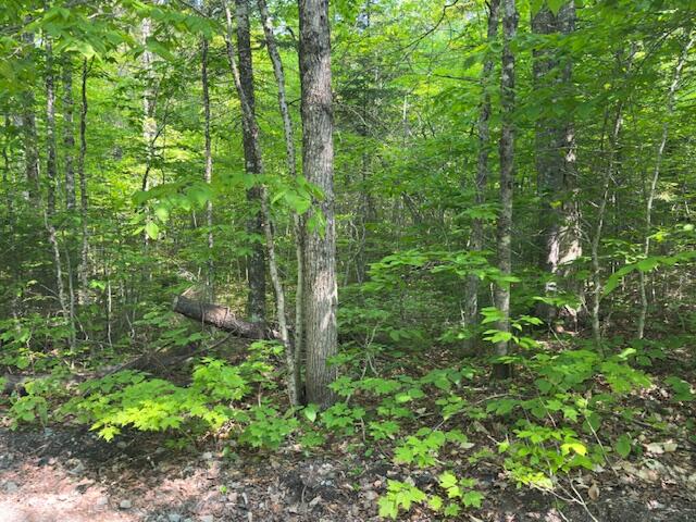 Lot 1 Scammon Road Greenville, ME 04441 - Photo 3 of 13 IMG_5295