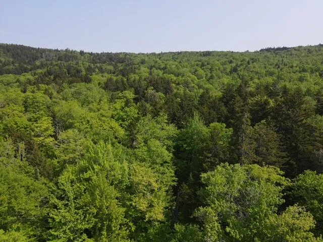 $64,500 | Lot 1 Scammon Road, Greenville, ME 04441