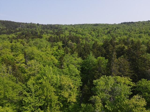 Lot 1 Scammon Road Greenville, ME 04441 - Photo 8 of 13 dji_fly_20250605_100648_487_174913246572