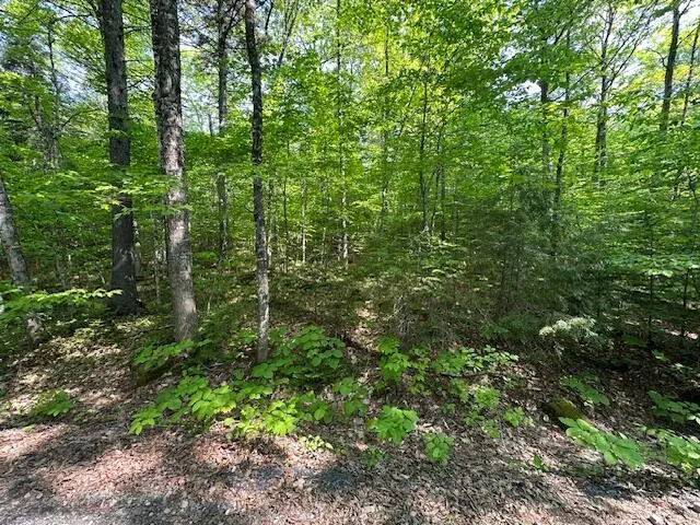 $64,500 | Lot 1 Scammon Road, Greenville, ME 04441