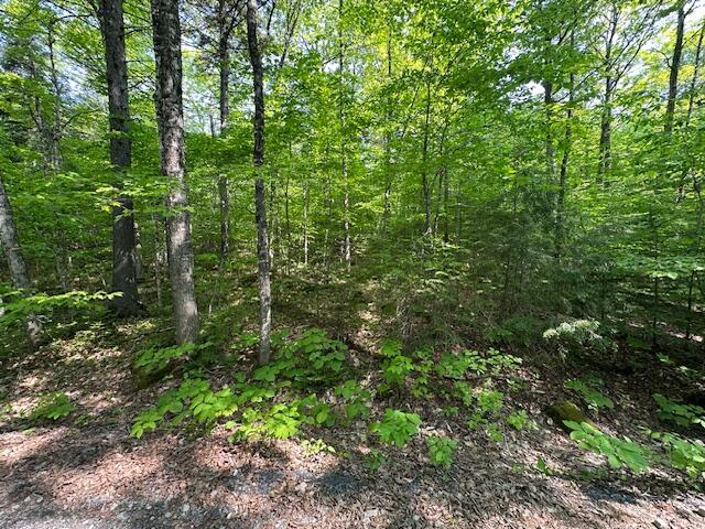 Lot 1 Scammon Road Greenville, ME 04441 - Photo 10 of 13 IMG_5298