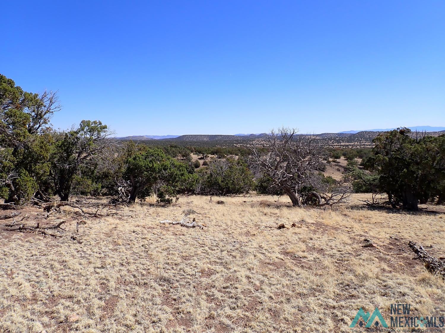 Tanglewood Datil, NM 87821 - Photo 3 of 15 Mountain view with rural landscape
