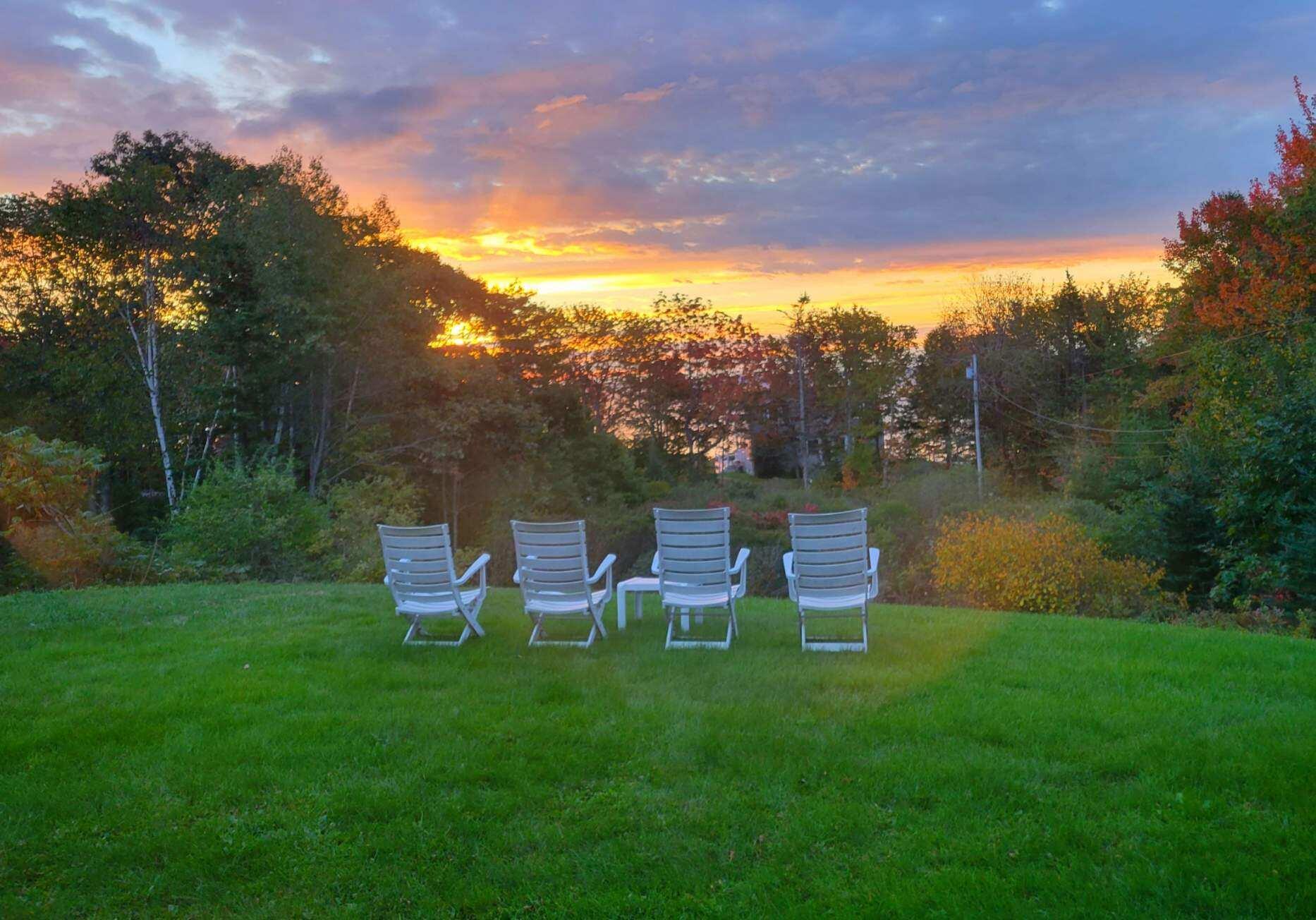 42 Old Mill Road New Harbor, ME 04554 - Photo 1 of 65 Front Yard