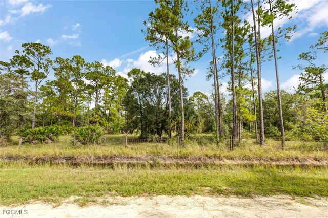a view of a yard with a tree