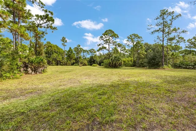a view of outdoor space with garden