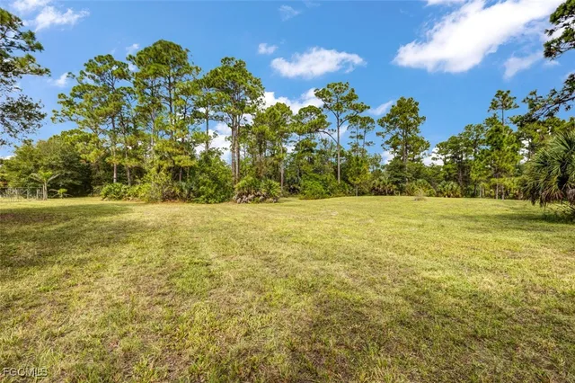 a view of outdoor space with deck and yard