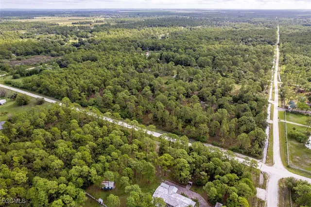 a view of a yard with a trees