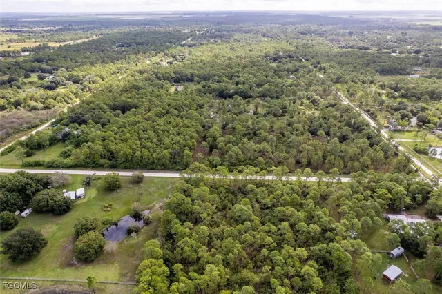 a view of a yard with an umbrella