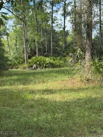 a view of outdoor space and yard