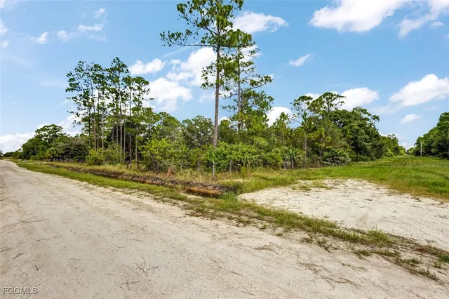 a view of a yard with large trees