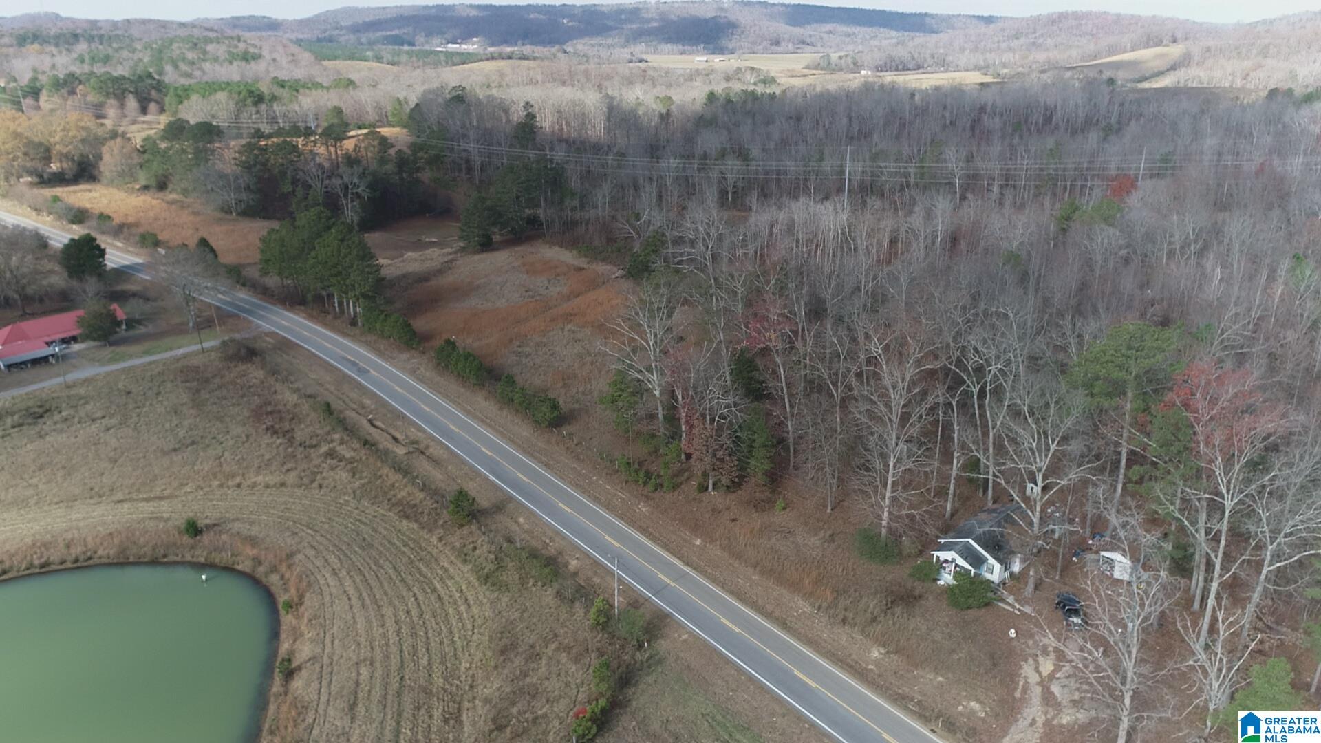 0 Highway 132, Unit 7 82 / ACRES Oneonta, AL 35121 - Photo 6 of 9