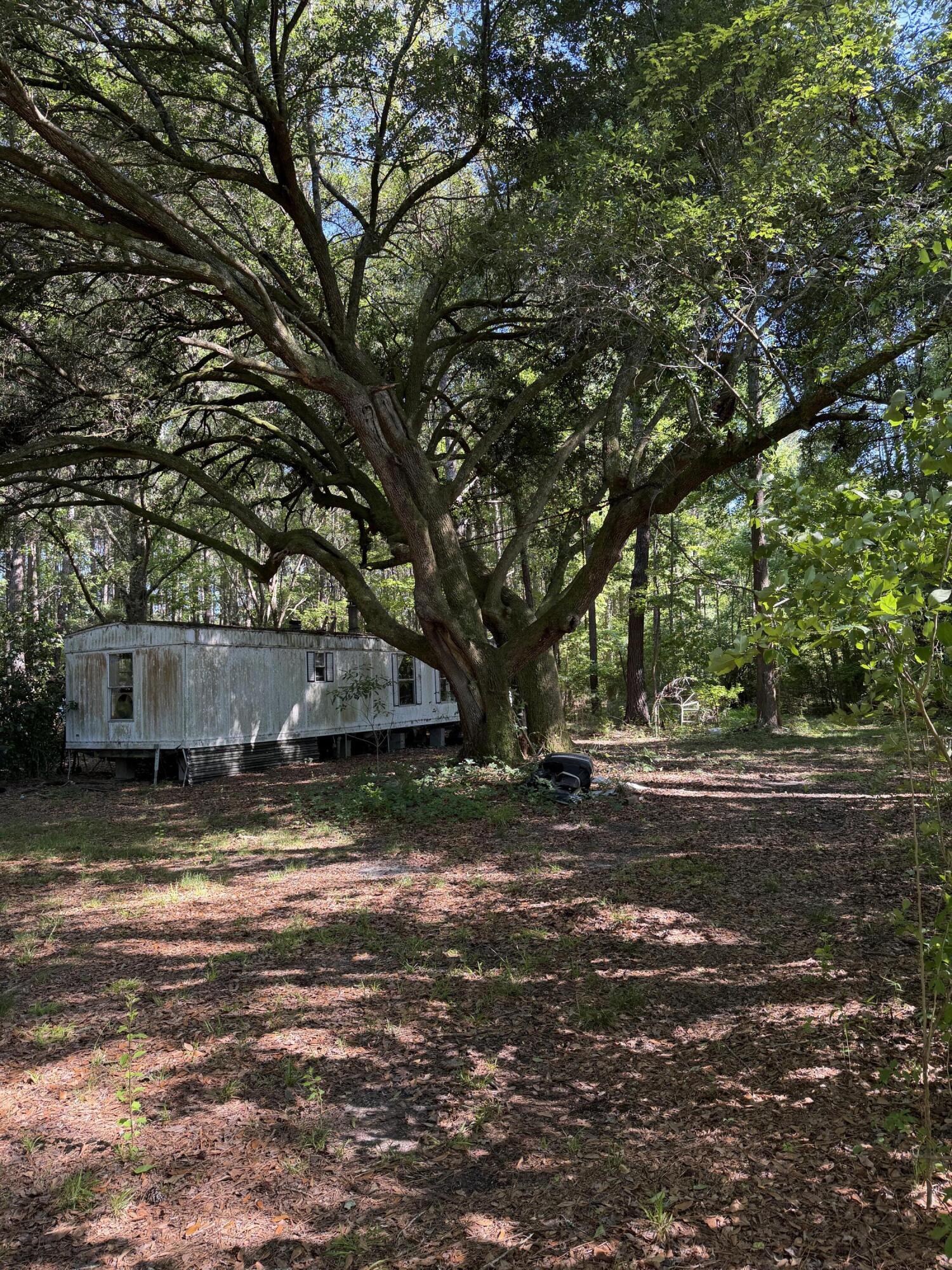 3125 State Road Ridgeville, SC 29472 - Photo 2 of 18 IMG_0951