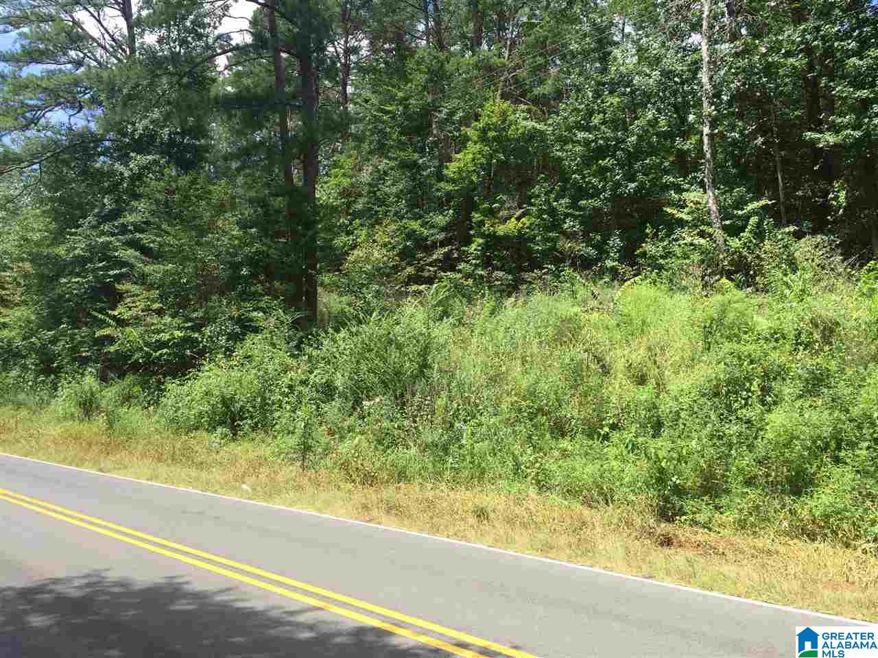 0 Old Springville Road, Unit 2 Pinson, AL 35126 - Photo 4 of 8