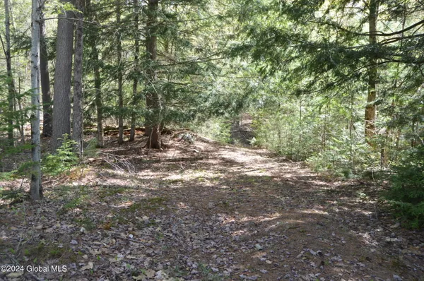 $46,000 | 0 Adirondack Heights Road, Chestertown, NY 12817