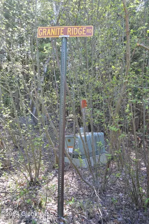 $46,000 | 0 Adirondack Heights Road, Chestertown, NY 12817