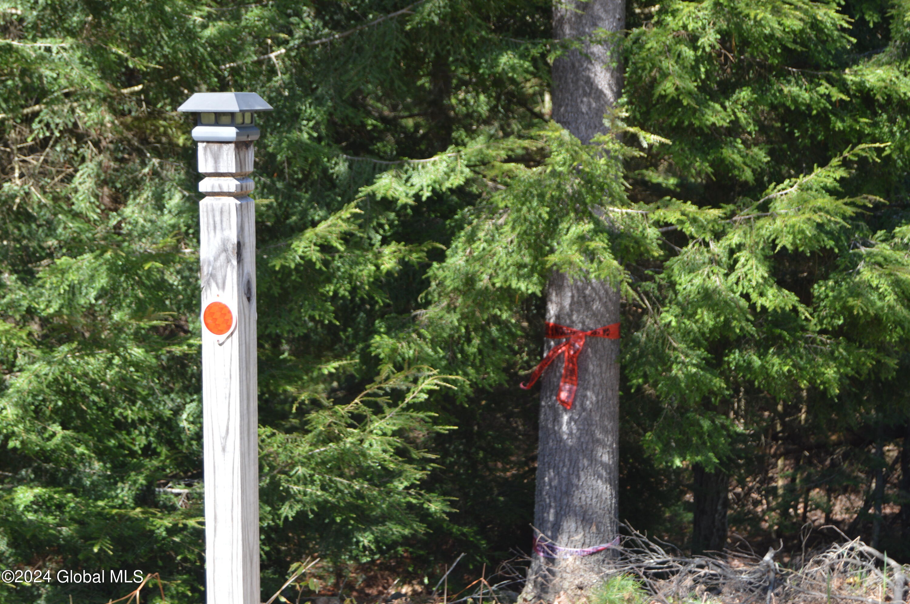 0 Adirondack Heights Road Chestertown, NY 12817 - Photo 6 of 6 DSC_0059