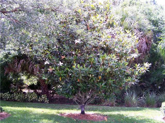 763 Southwest Balmoral Trace Stuart, FL 34997 - Photo 22 of 24 Gallery Image 22
