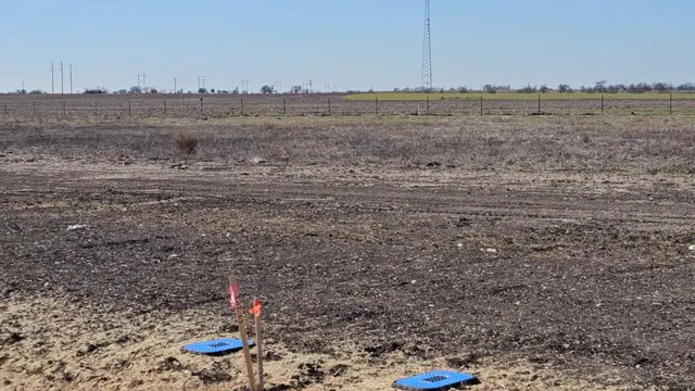 a view of a dry yard