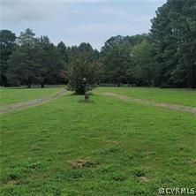 441 Runnymede Road Elberon, VA 23846 - Photo 14 of 20 Gallery Image 14
