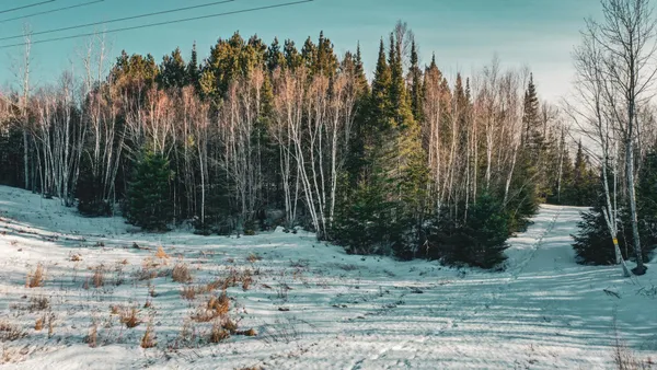 $38,900 | 17 Hwy 115 Tower Mn 55790, Tower, MN 55790