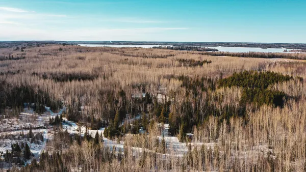 $38,900 | 17 Hwy 115 Tower Mn 55790, Tower, MN 55790