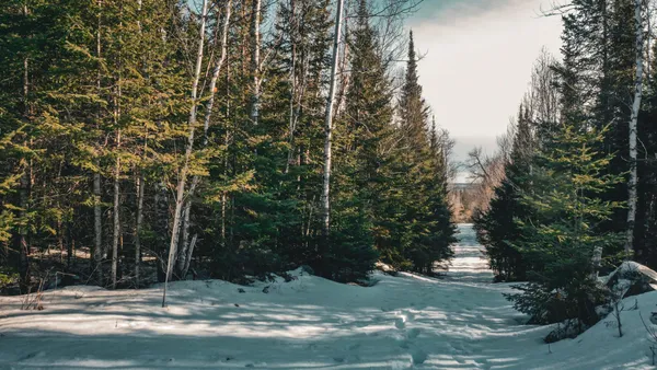 $38,900 | 17 Hwy 115 Tower Mn 55790, Tower, MN 55790