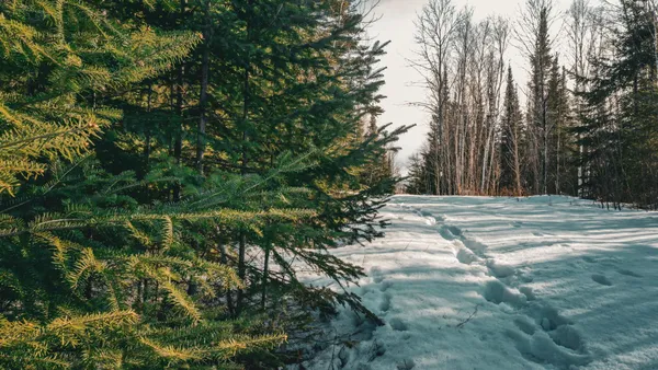 $38,900 | 17 Hwy 115 Tower Mn 55790, Tower, MN 55790