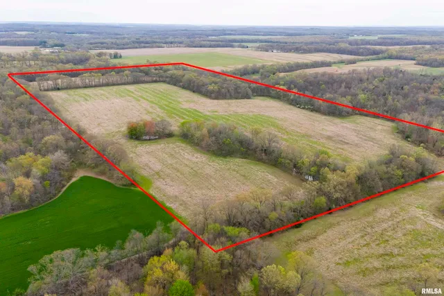 a view of an outdoor space