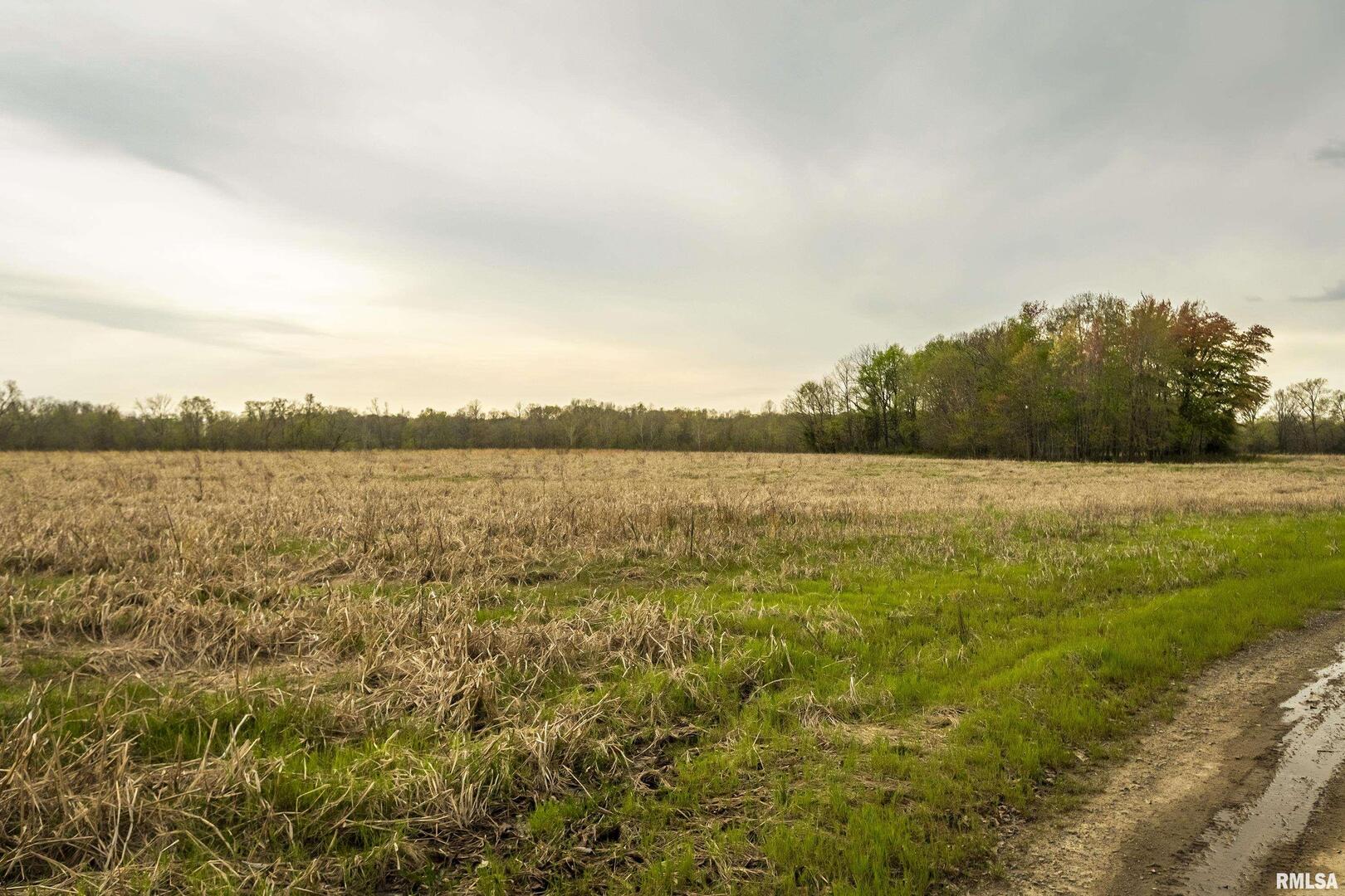 0 County Road 1000 N Road McLeansboro, IL 62859 - Photo 11 of 11 a view of a lake with houses in the back