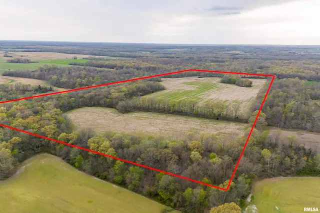 a view of an outdoor space