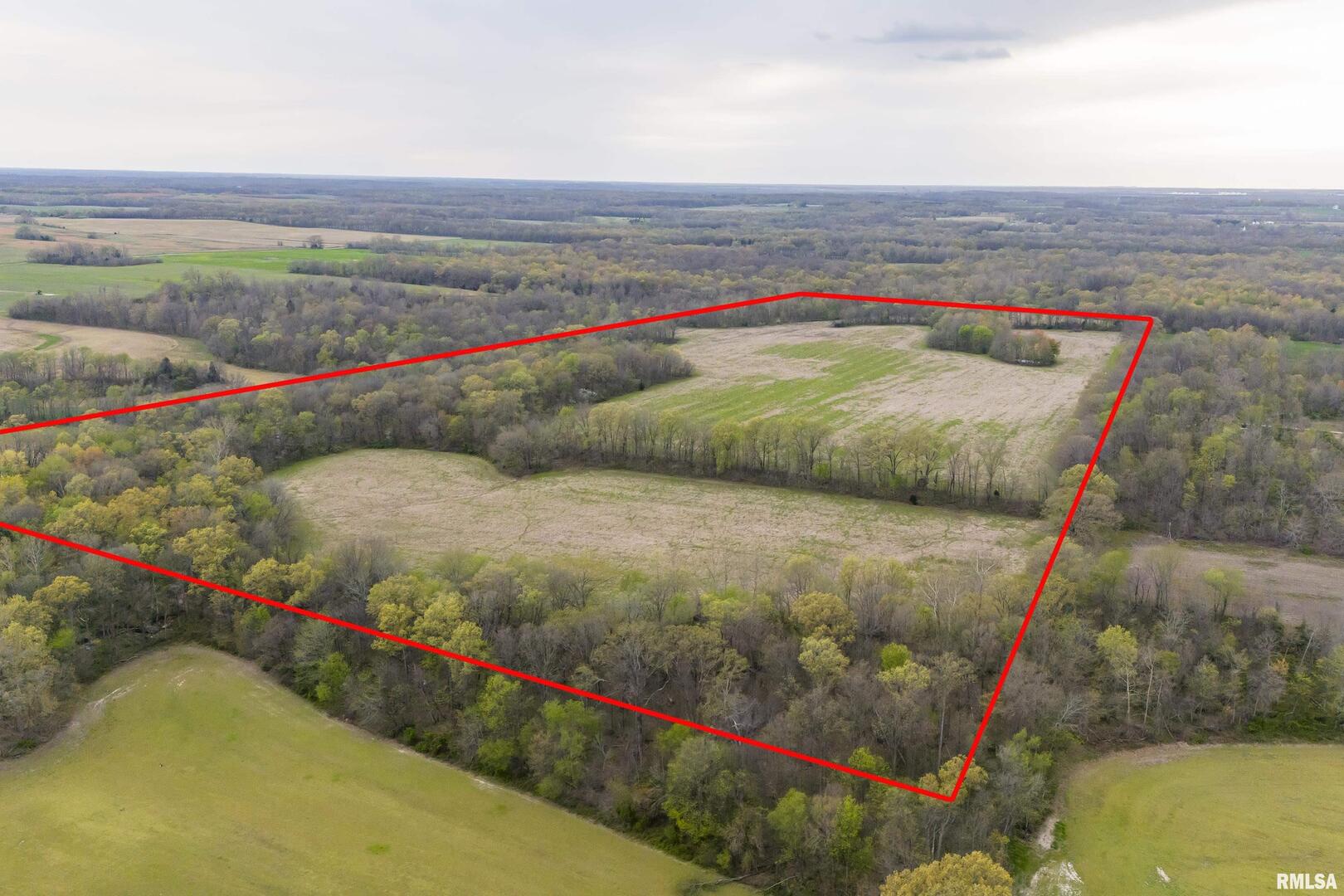 0 County Road 1000 N Road McLeansboro, IL 62859 - Photo 3 of 11 a view of an outdoor space