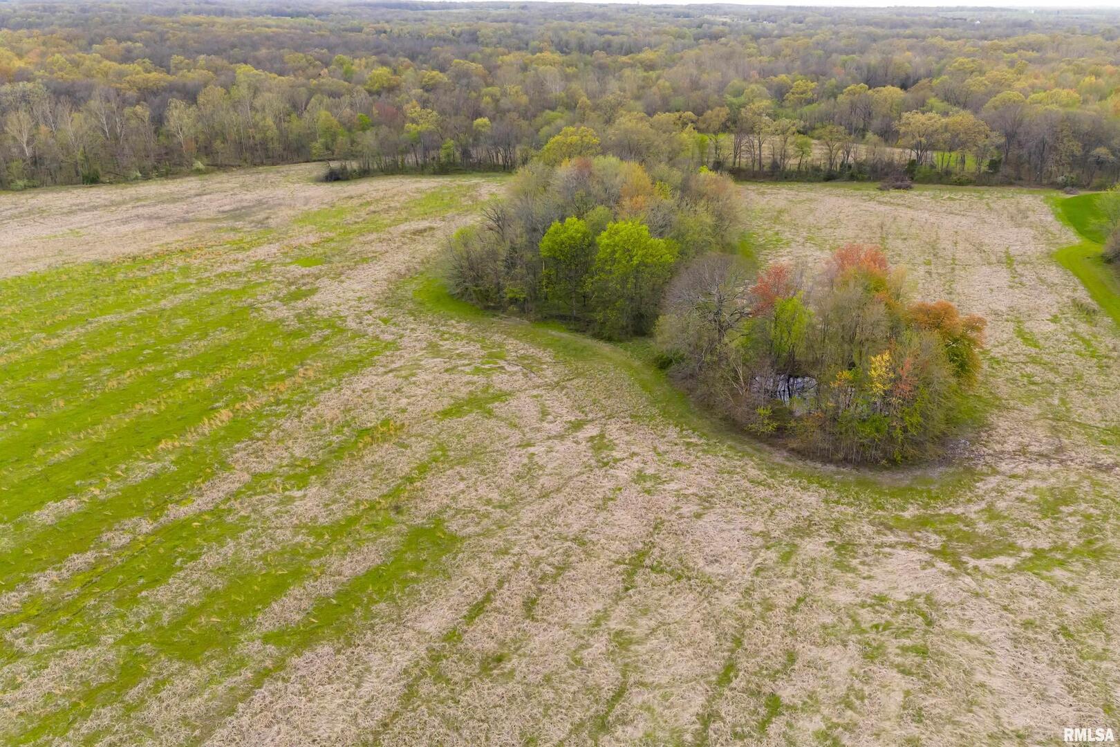 0 County Road 1000 N Road McLeansboro, IL 62859 - Photo 7 of 11 a view of lake view and mountain view