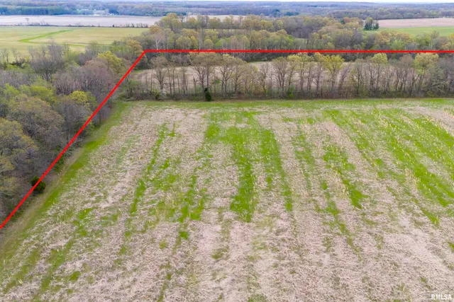 a view of outdoor space and garden