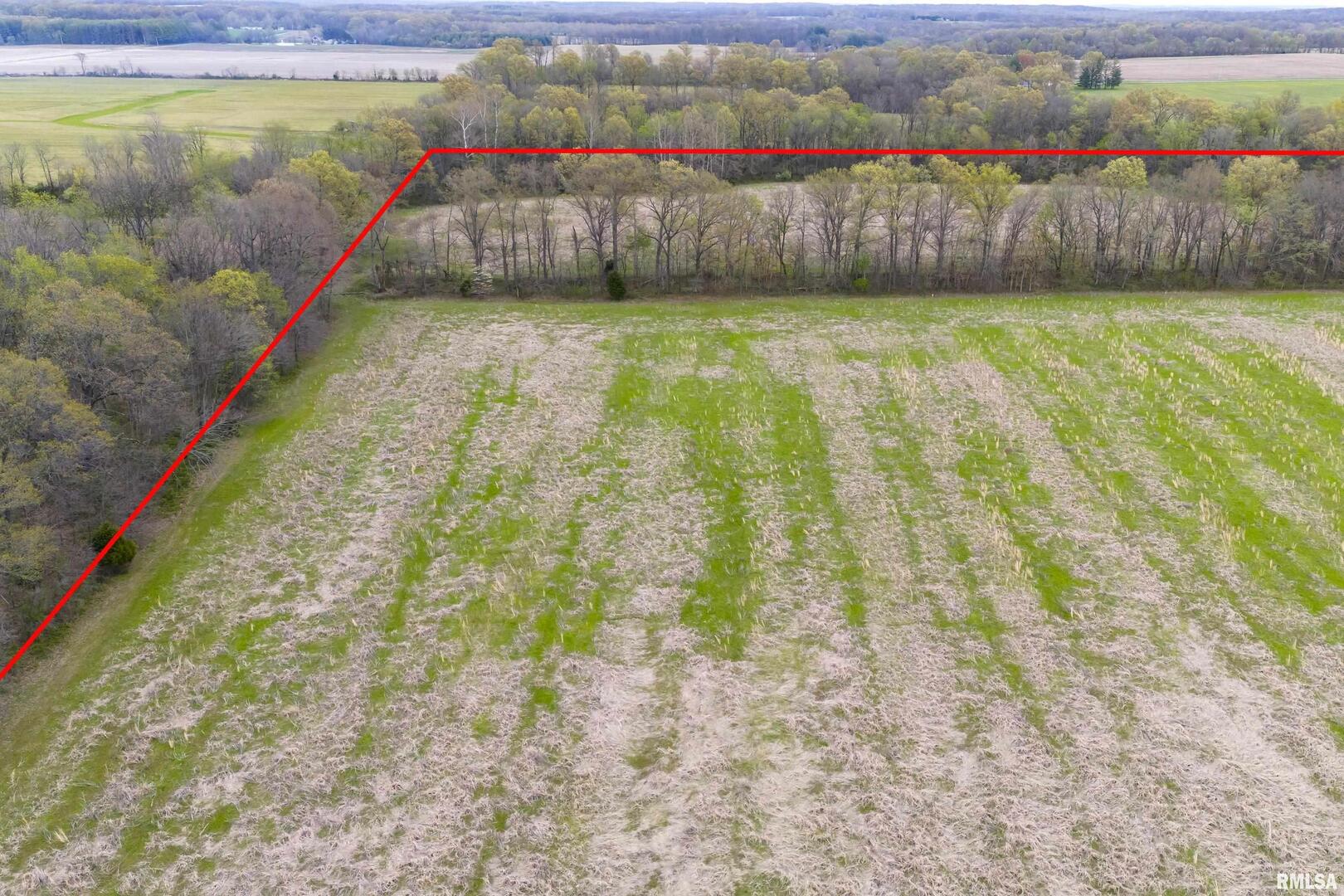 0 County Road 1000 N Road McLeansboro, IL 62859 - Photo 8 of 11 a view of outdoor space and garden