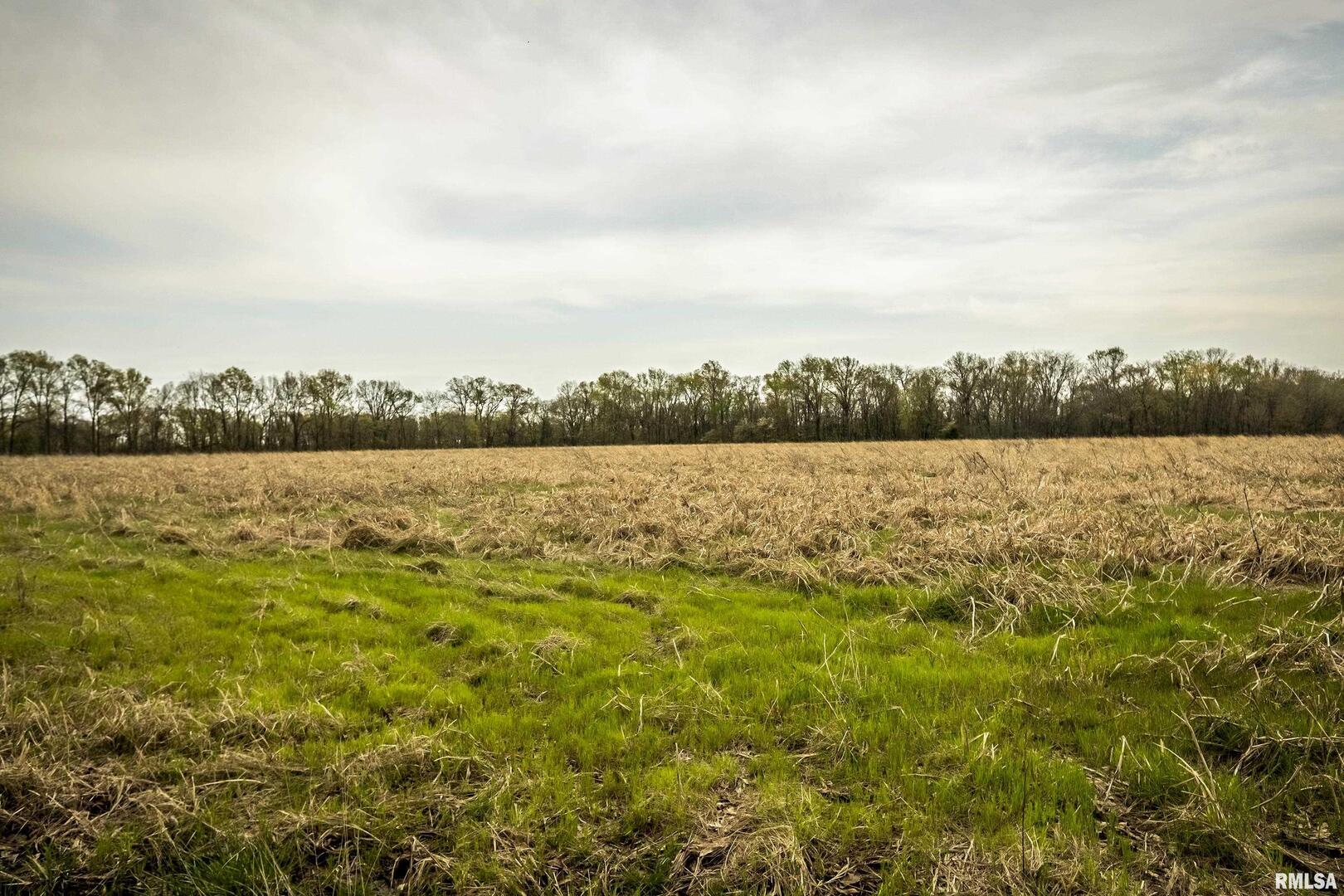 0 County Road 1000 N Road McLeansboro, IL 62859 - Photo 9 of 11 a view of lake view and mountain view