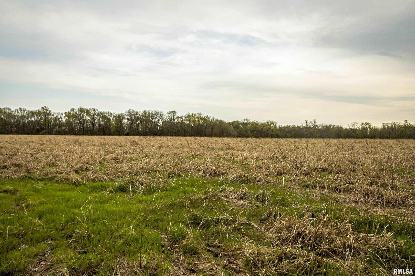 0 County Road 1000 N Road McLeansboro, IL 62859 - Photo 10 of 11 a view of outdoor space and swimming pool