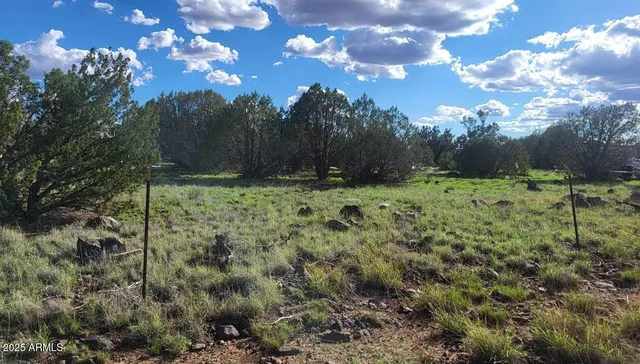 a backyard of a house with lots of green space and forest