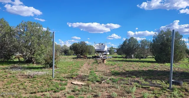 a view of a golf course with a tree