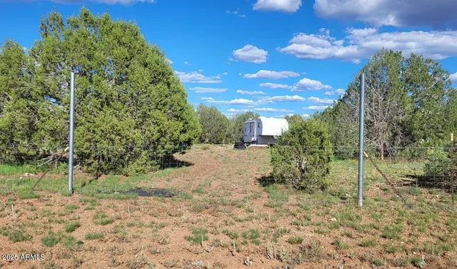 a view of a yard with plants and a trees