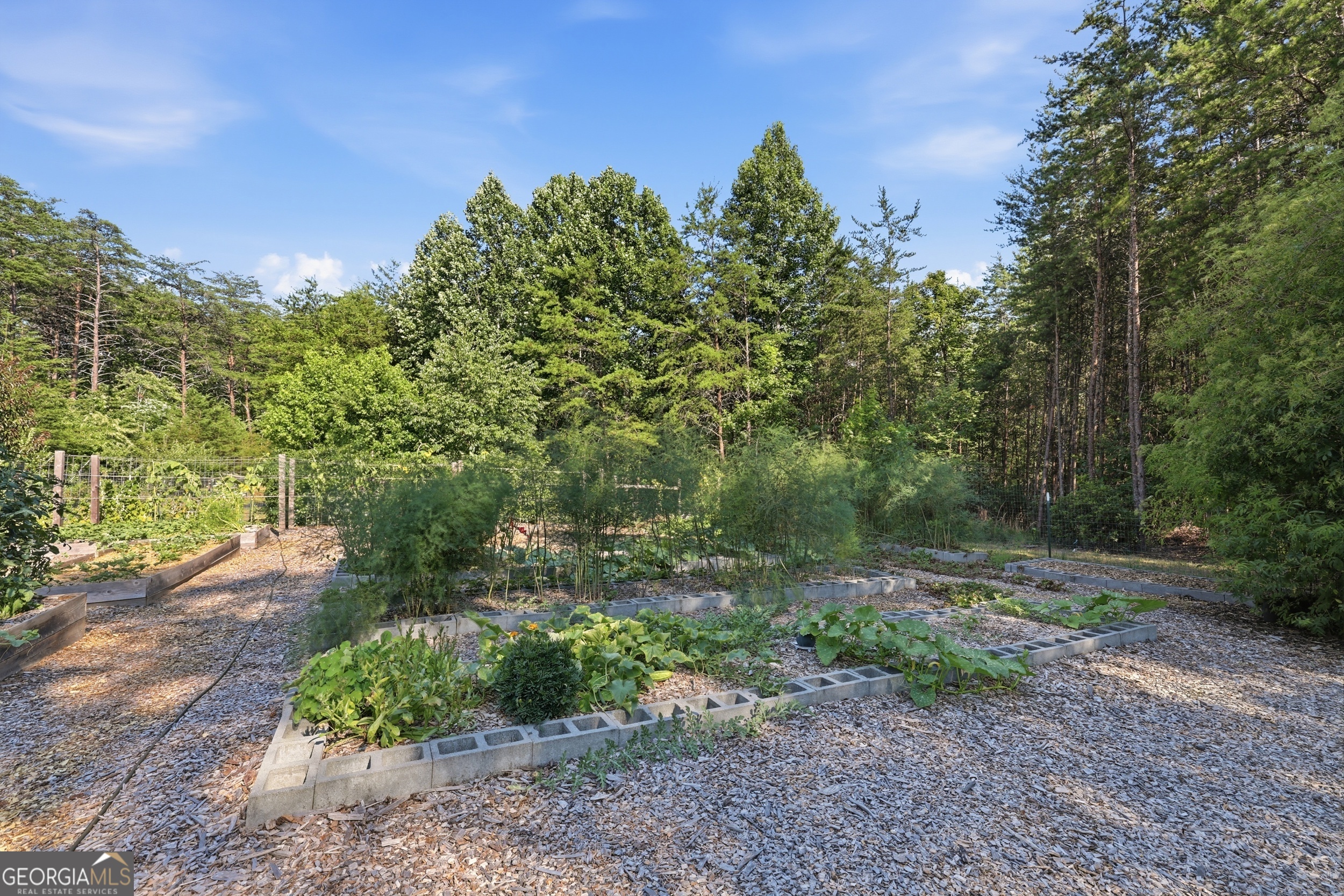 629 Monroe Ridge Road, Unit 30 59 Sautee Nacoochee, GA 30571 - Photo 60 of 85